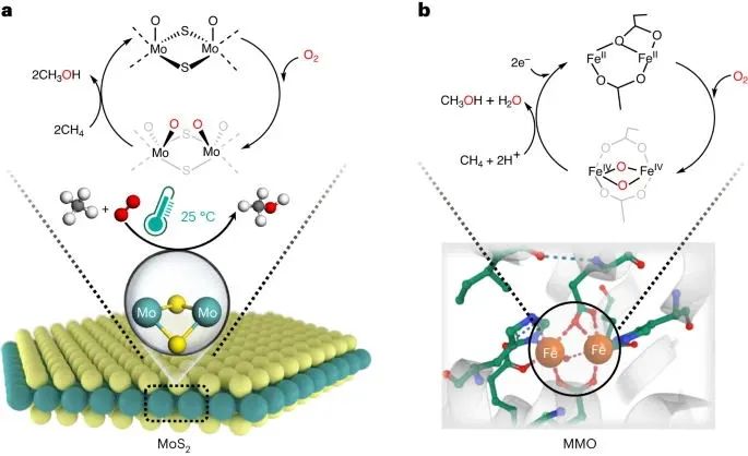 圣杯反應(yīng)！大化所鄧德會/于良，最新Nature Catalysis!