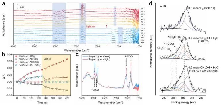 催化頂刊集錦：JACS、Nature子刊、Angew.、ACS Catal.、AFM、ACS Nano等成果