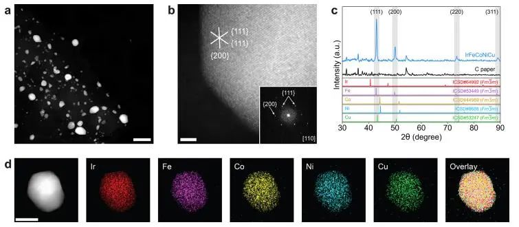 催化頂刊集錦：JACS、EES、Angew.、Chem、AFM、ACS Nano、ACS Catal.等成果