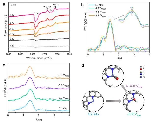 催化頂刊集錦：Nature子刊、JACS、ACS Nano、ACS Energy Lett.、AFM、NML等成果