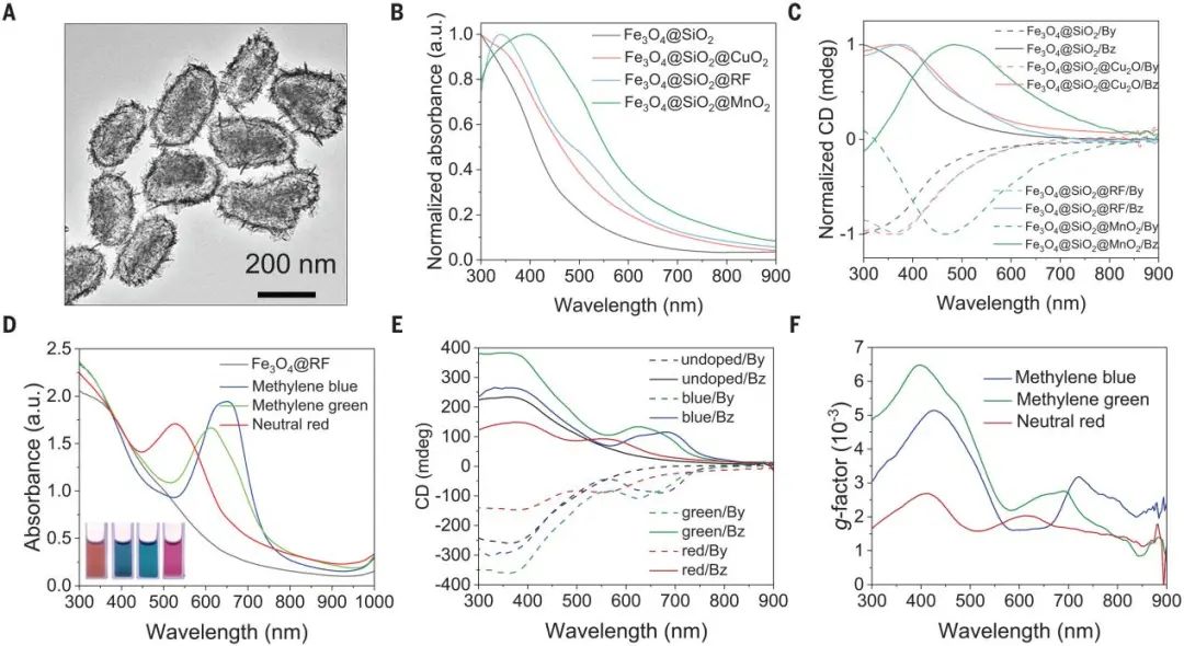 殷亞東團隊，最新Science！