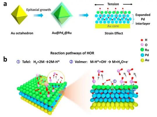 催化頂刊集錦：JACS、Nature子刊、Adv. Sci.、Nano Energy、ACS Nano等