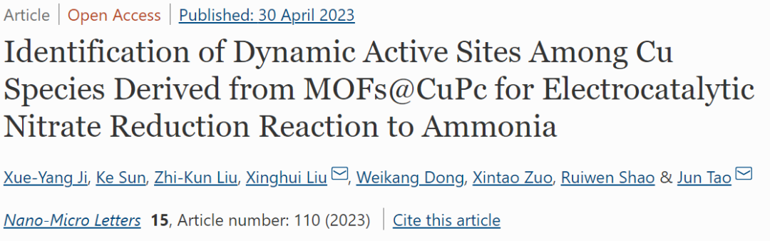 NML：鑒定NITRR中MOFs@CuPc上Cu的動(dòng)態(tài)活性位點(diǎn)