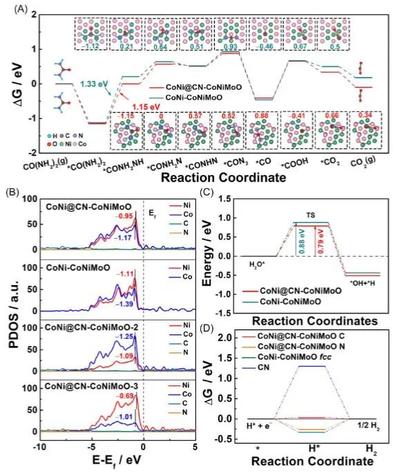 Carbon Energy：鈷鎳和氮摻雜碳強(qiáng)電子耦合，實(shí)現(xiàn)大電流密度下高效尿素氧化輔助制氫