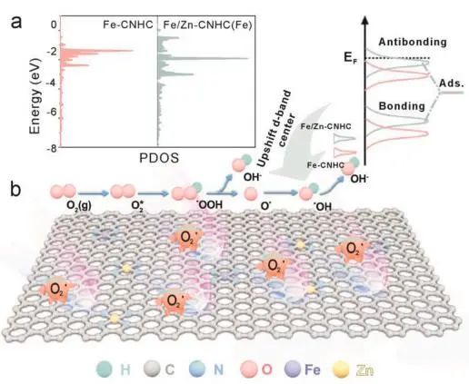 EnSM：調(diào)控FeN4的d帶中心，有效增強(qiáng)氧還原反應(yīng)活性
