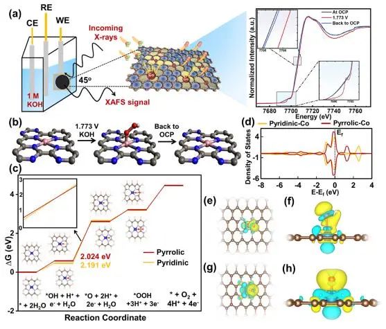 ?JACS：高分子輔助策略立大功！高密度鈷單原子催化劑強化析氧反應(yīng)活性