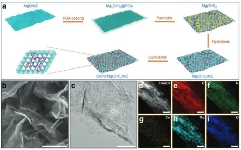 催化頂刊集錦：JACS、Angew、ACS Catal.、AFM、Adv. Sci.、Nano Lett.、Small等