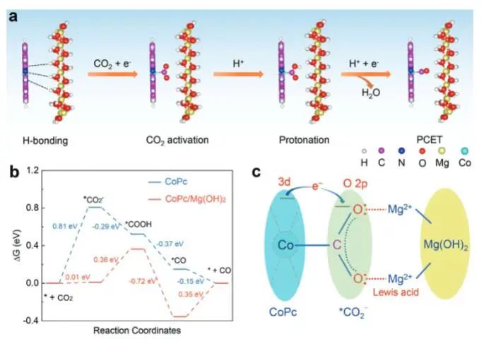 催化頂刊集錦：JACS、Angew、ACS Catal.、AFM、Adv. Sci.、Nano Lett.、Small等