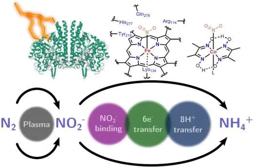 催化頂刊集錦：Nature、JACS、EES、ACS Catal.、ACS Nano、Small等成果精選！