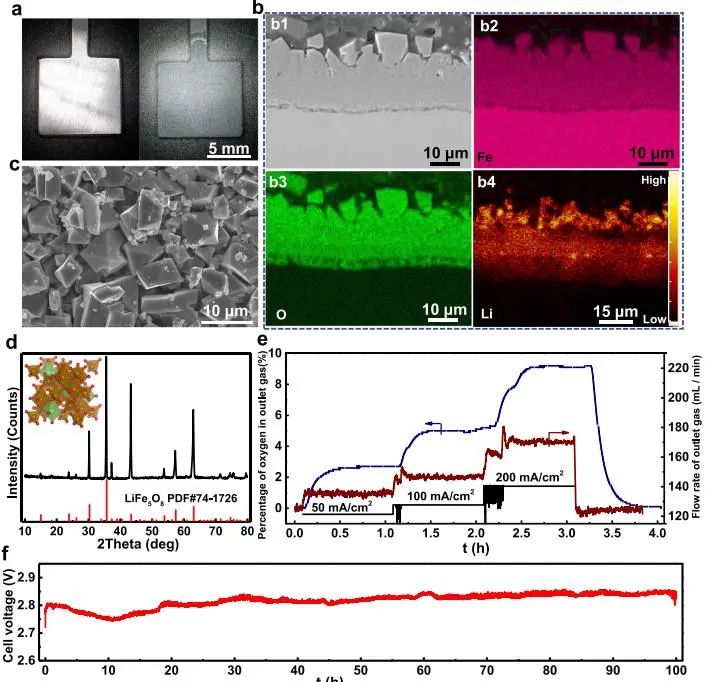 催化頂刊集錦：Nature子刊、JACS、EES、AM、AFM、Nano Letters等成果