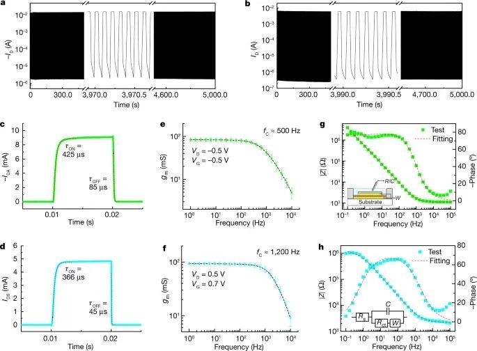 電子科技大學，2023年首篇Nature！