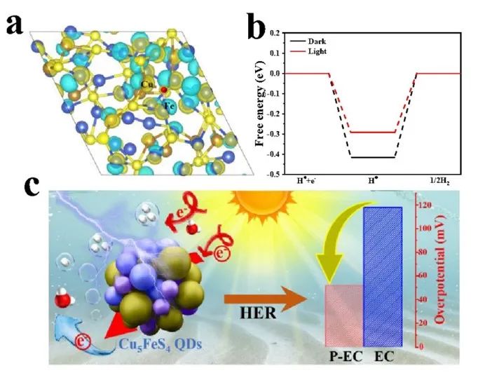 ?江大/蘇大JMCA：利用Cu5FeS4量子點(diǎn)制備高效析氫的單組分光輔助電催化劑