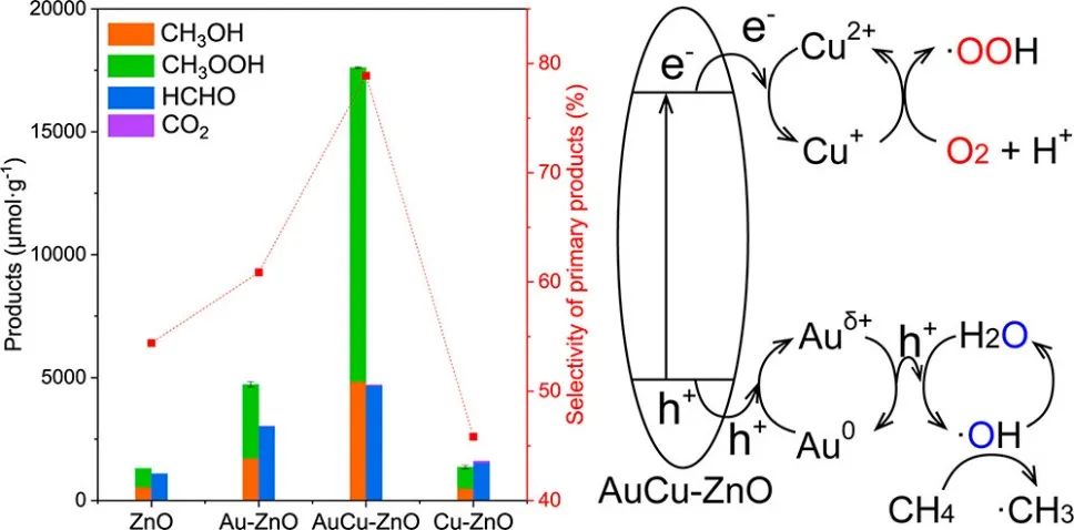 唐軍旺JACS：近100%選擇性！二元Au-Cu反應(yīng)位點修飾的ZnO在室溫下將甲烷氧化成C1氧化物