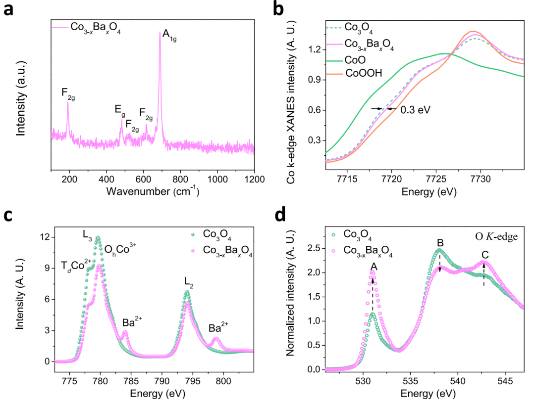 超燃！他，今日發(fā)表第16篇Nature Catalysis，第36篇JACS！