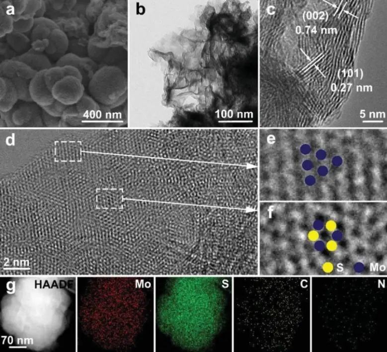 中南劉芳洋、王德志、吳壯志Adv. Sci.：角度新奇，活性位點(diǎn)分離策略闡明1T-MoS2上NRR機(jī)制