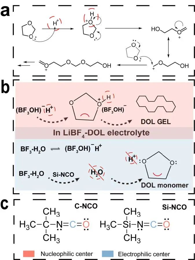 電池頂刊集錦：Nature子刊、Angew、EES、AFM、ACS Energy Lett.、ACS Nano等成果！