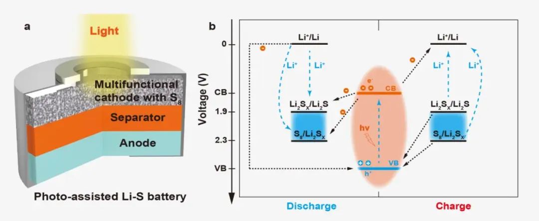 于中振/曲晉/郭玉國(guó)EnSM：可通過光照充電的鋰硫電池，能效高達(dá)100%！