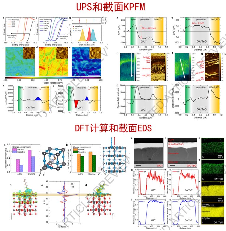 精彩絕倫！‘鈣幫’圍攻光明頂：五行八卦掌發(fā)Nature，降龍十八掌發(fā)Science！