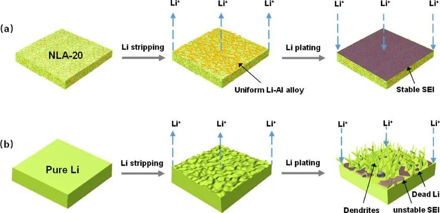 王成新/雷丹妮EnSM：原位形成納米鋰鋁合金負(fù)極實(shí)現(xiàn)高能鋰金屬電池！