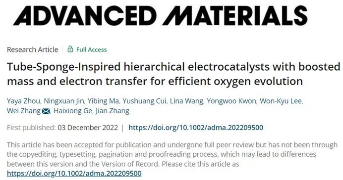 ?東南/南大/杭電AM：管-海綿式分級(jí)電催化劑增強(qiáng)質(zhì)量和電子轉(zhuǎn)移用于高效析氧