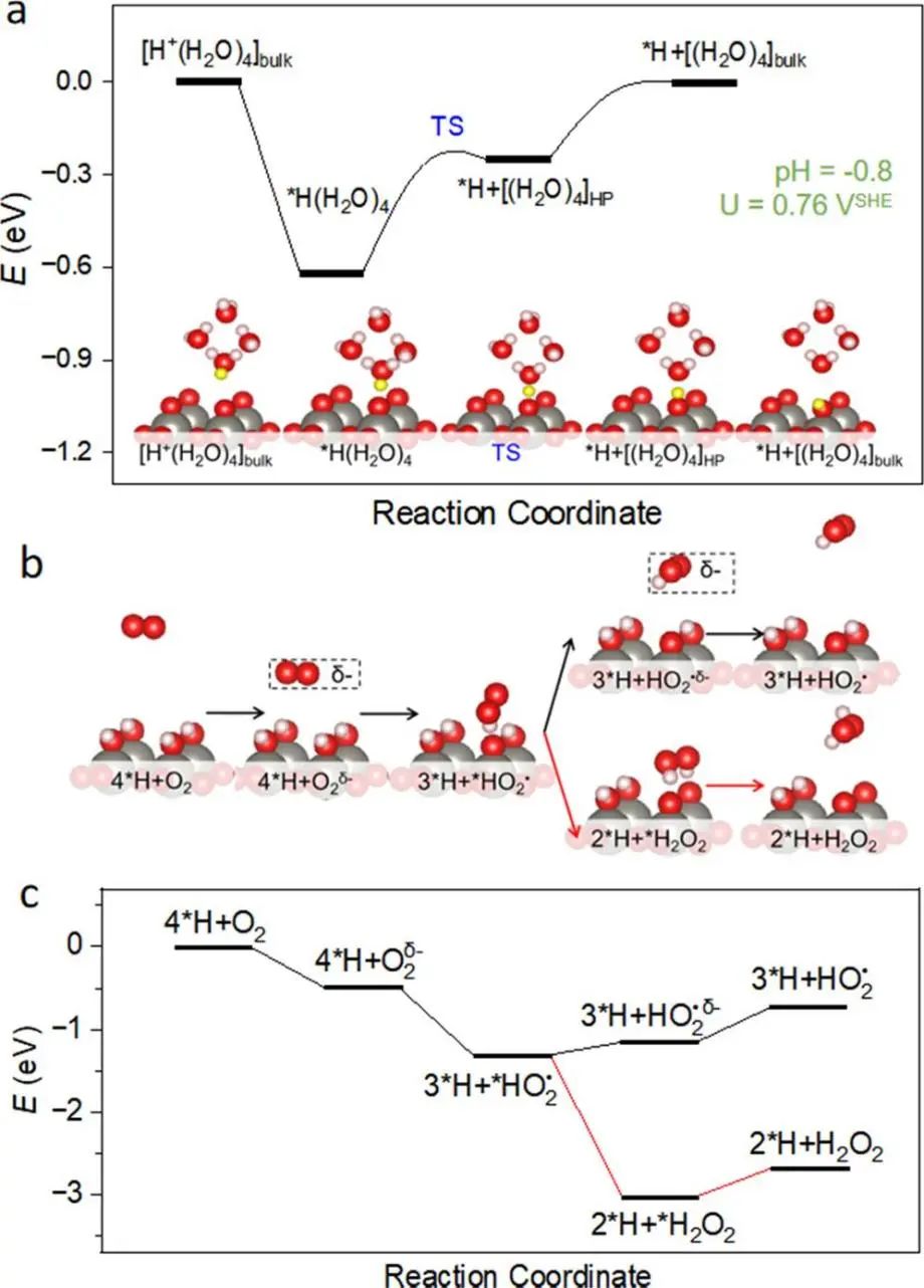 【純計算】ACS Catalysis：第一性原理計算WO3/TiO2界面上的光電子存儲情況