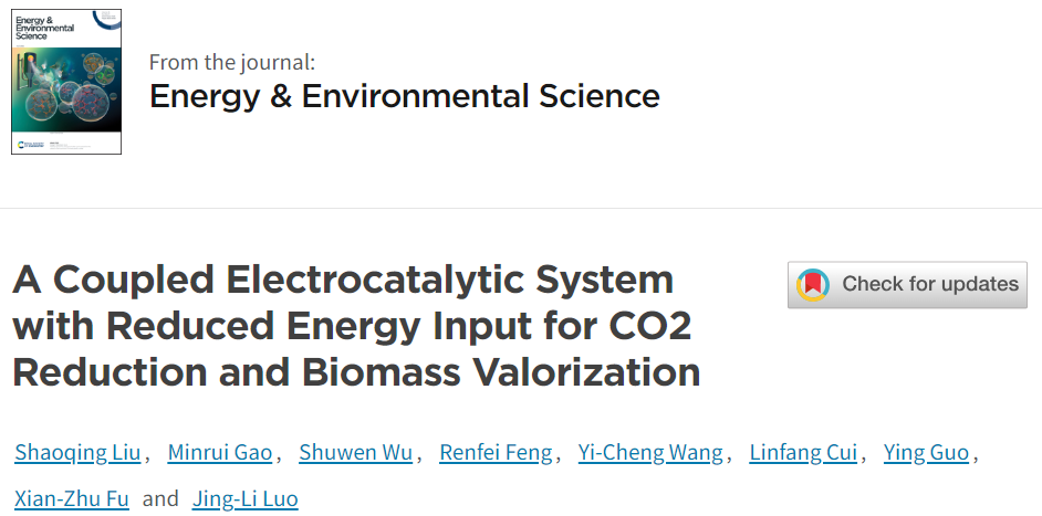 駱靜利院士EES：耦合電催化系統(tǒng)助力CO2還原和生物質(zhì)轉(zhuǎn)化
