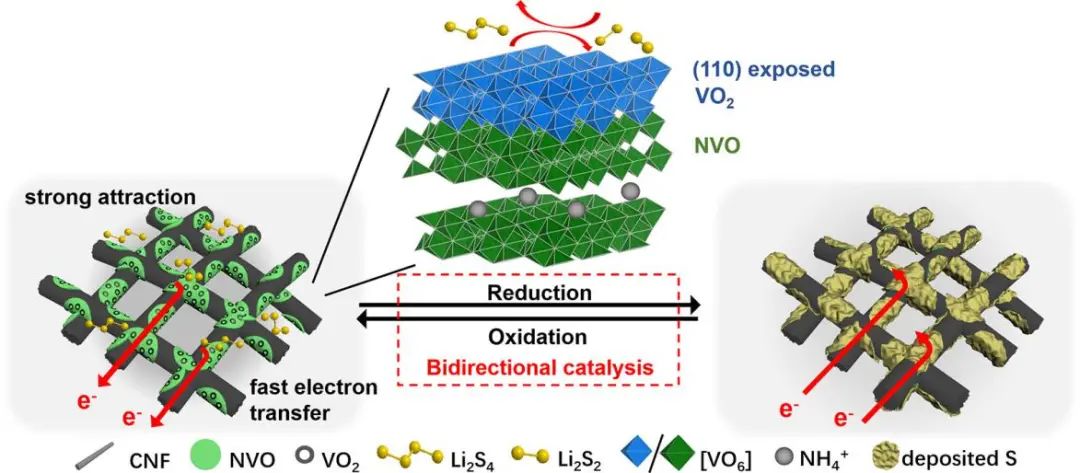 清華楊穎ACS Nano: （110）面占主導(dǎo)的VO2實現(xiàn)鋰硫電池的雙向電催化
