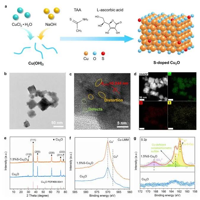 計算成果，8篇頂刊：Nature子刊、Angew、JACS、EES、AM、AFM等！