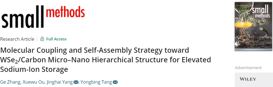 唐永炳/楊景海Small Methods：WSe2/碳微納分級結(jié)構(gòu)的分子偶聯(lián)和自組裝提高鈉離子存儲