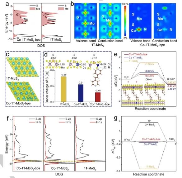 董斌/柴永明Angew：配體調(diào)節(jié)活性中心，促進(jìn)Co摻雜1T-MoS2電催化堿性析氫