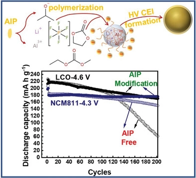 電池頂刊集錦：EES、EER、AEM、EEM、ACS Nano、Small等最新成果