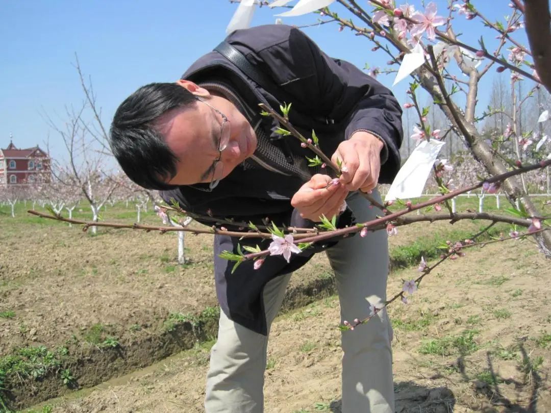 耗時(shí)15年，58歲浙大教授又拿一個(gè)博士學(xué)位！學(xué)科跨度有點(diǎn)大……