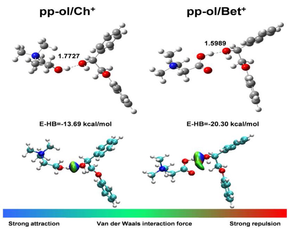 ACS Catalysis封面：開發(fā)新型Dawson結(jié)構(gòu)雜多酸實現(xiàn)木質(zhì)纖維素高效轉(zhuǎn)化