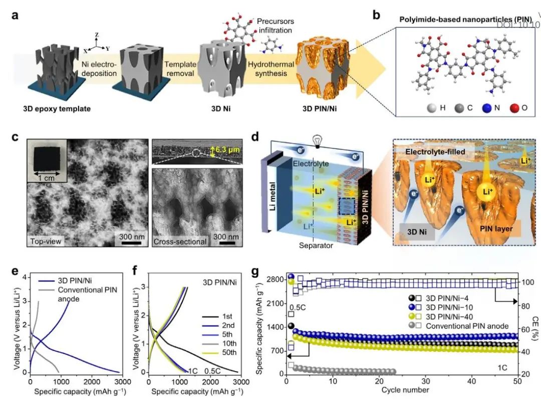 電池頂刊集錦：EES、AEM、AFM、Adv. Sci.、EnSM、Small等最新成果