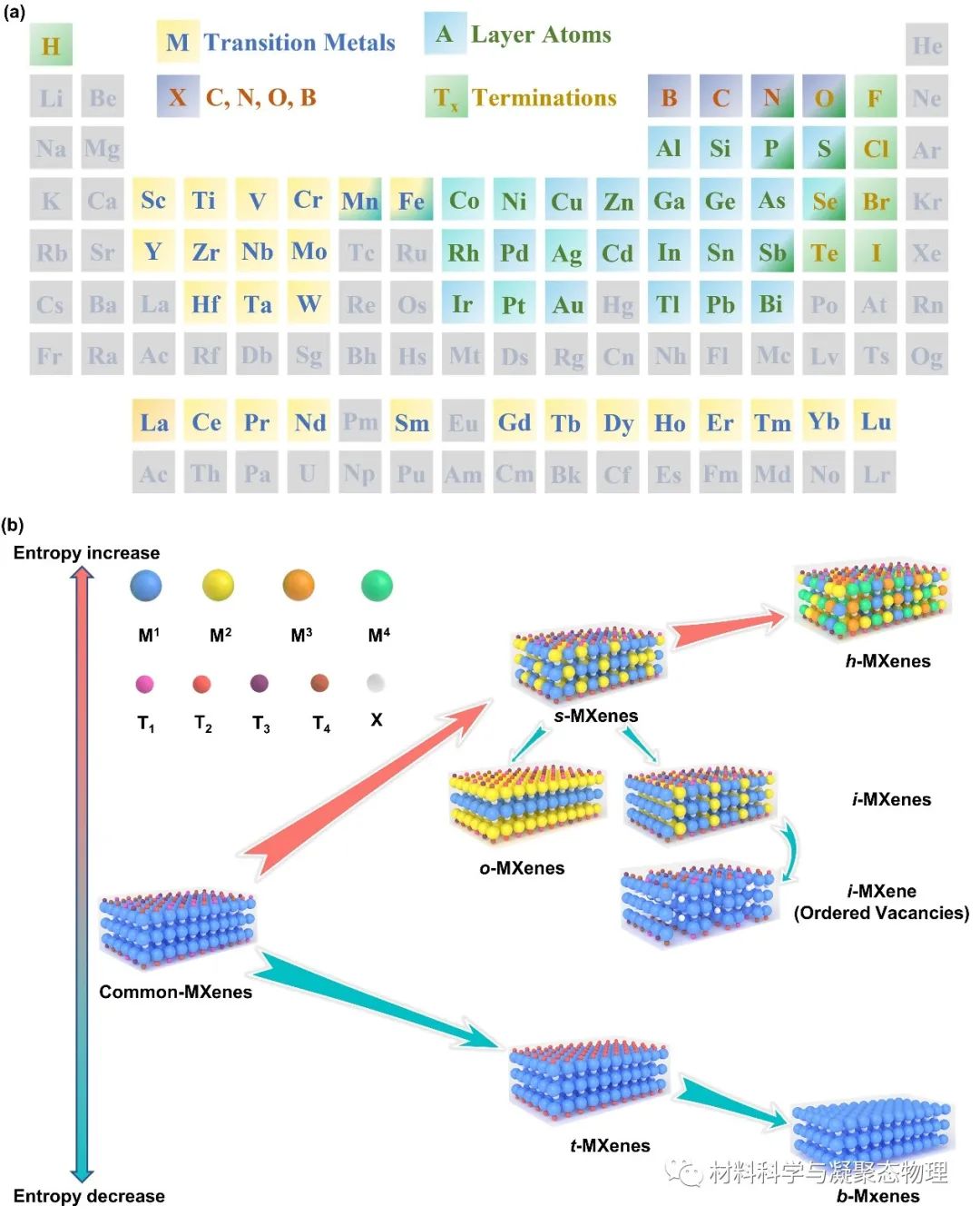 吉林大學(xué)最新MXenes綜述:用于下一代技術(shù)的制備策略和構(gòu)效關(guān)系的進展與展望