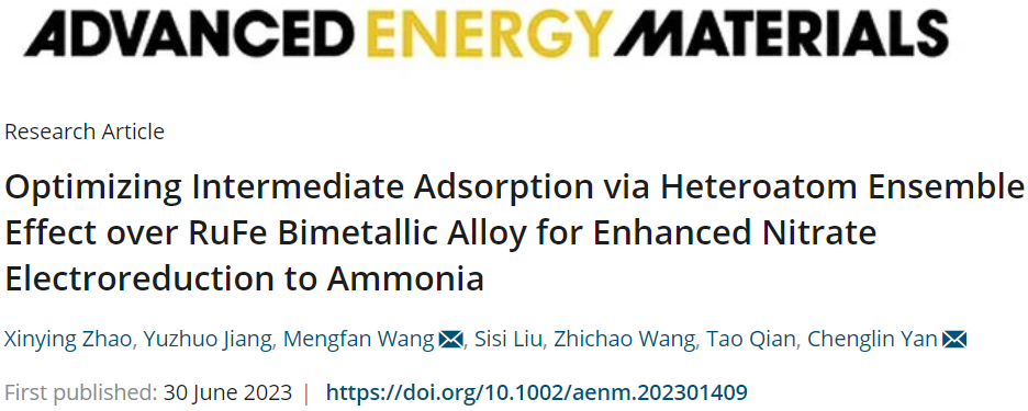 蘇州大學(xué)晏成林團隊AEM：創(chuàng)記錄！RuFe-FeNC助力NO3RR制氨