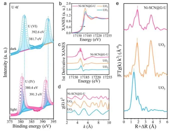 催化頂刊集錦：Nature子刊、JACS、Angew.、AFM、Nano Letters、ACS Catal.等成果