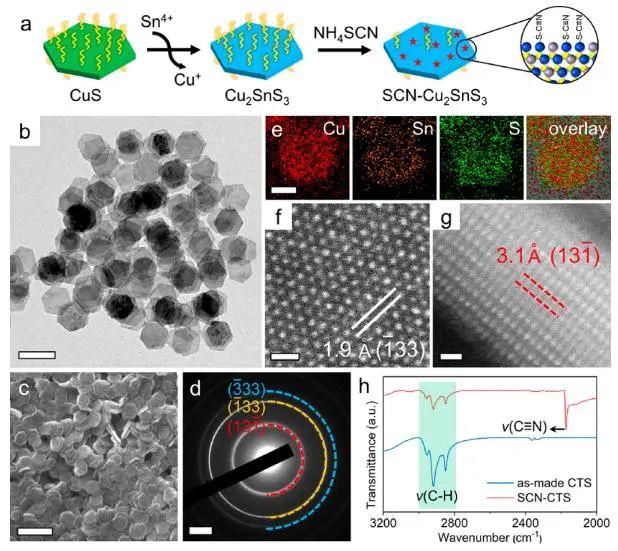 催化頂刊集錦：Nature子刊、JACS、Angew.、AFM、Nano Letters、ACS Catal.等成果