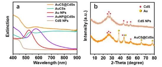 ACS Nano：合成無表面活性劑Au-CdS，實(shí)現(xiàn)廣譜光催化析氫