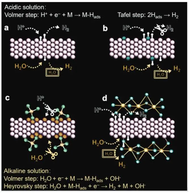 催化頂刊集錦：JACS、Angew、ACS Catal.、AFM、Adv. Sci.、Nano Lett.、Small等