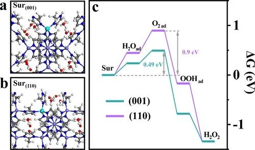 JACS：晶體工程使鈷基金屬有機(jī)骨架成為制備H2O2的高性能電催化劑