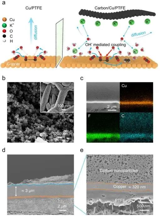 催化頂刊集錦：Nature子刊.、Angew.、JACS、ACS Catalysis、AFM、Small等成果