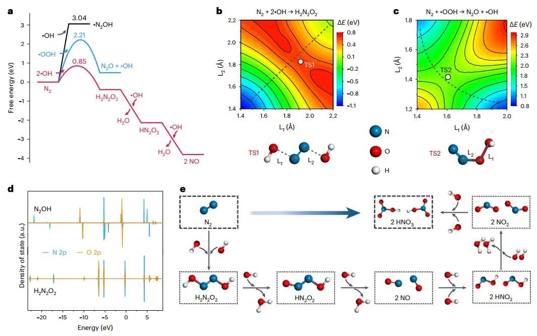 厲害了！繼Nature Catalysis，這個團(tuán)隊再發(fā)Nature Synthesis！