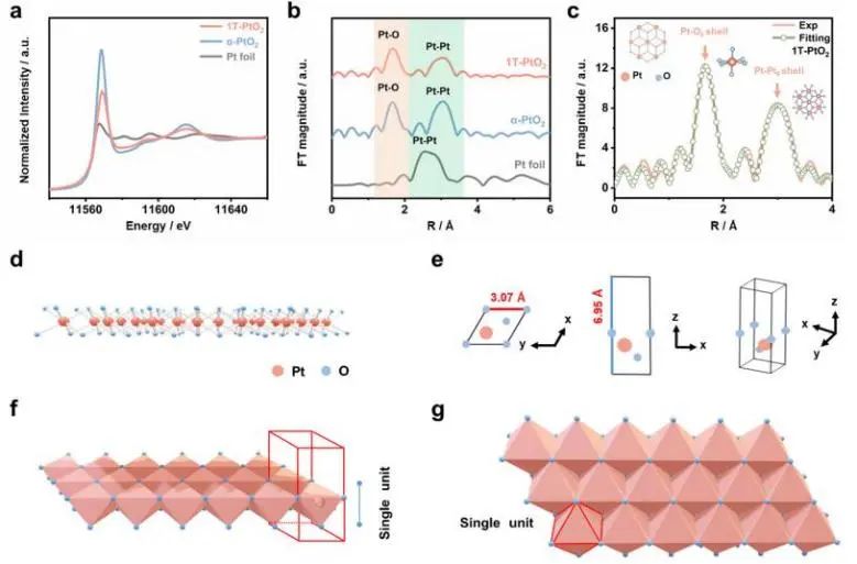 催化頂刊集錦：Nature子刊、JACS、EES、AM、AFM、Nano Letters等成果