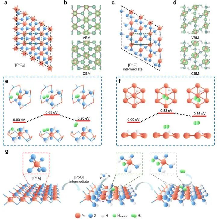 催化頂刊集錦：Nature子刊、JACS、EES、AM、AFM、Nano Letters等成果