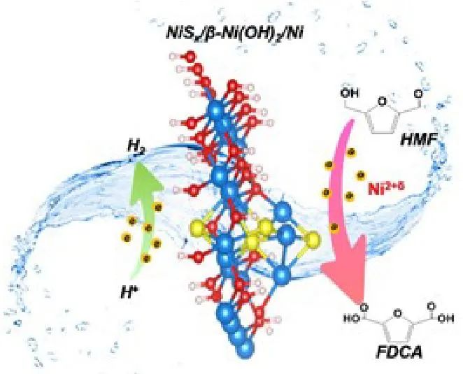 ?上硅所/華科AM：β-Ni(OH)2電極的S物種激發(fā)的高價(jià)Ni2+δ選擇性氧化5-羥甲基糠醛