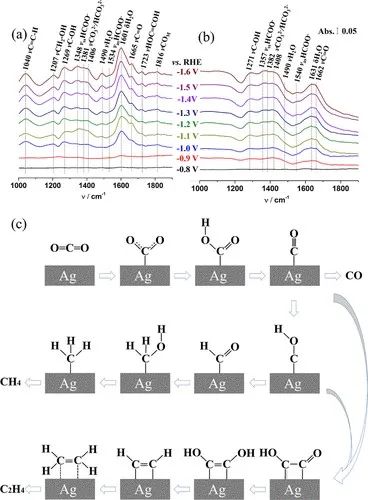 催化頂刊集錦：AFM、ACS Catalysis、Appl. Catal. B.、CEJ、Small、JMCA等成果