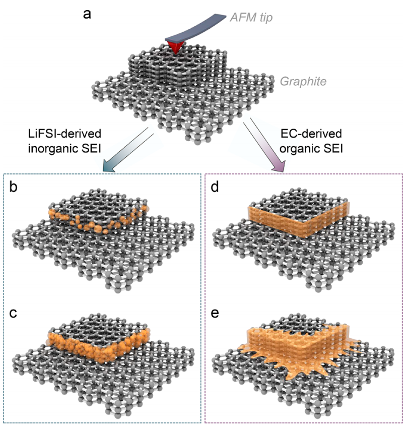 張強(qiáng)教授，最新JACS！