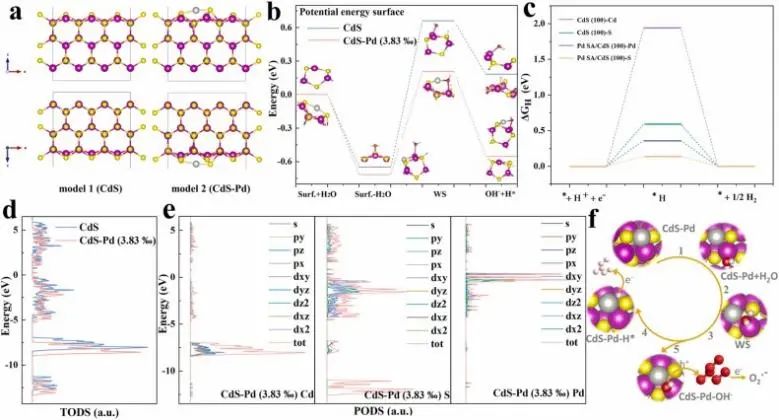 8篇催化頂刊：JACS、ML、JMCA、Small Methods、Small、Appl. Catal. B.等成果