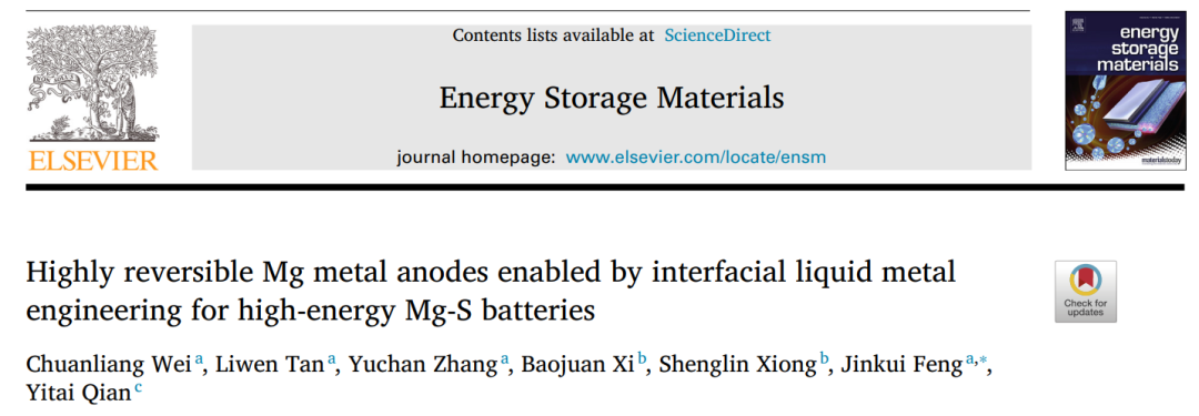 山大馮金奎EnSM: 界面液態(tài)金屬工程實現(xiàn)Mg-S電池的高可逆Mg負(fù)極